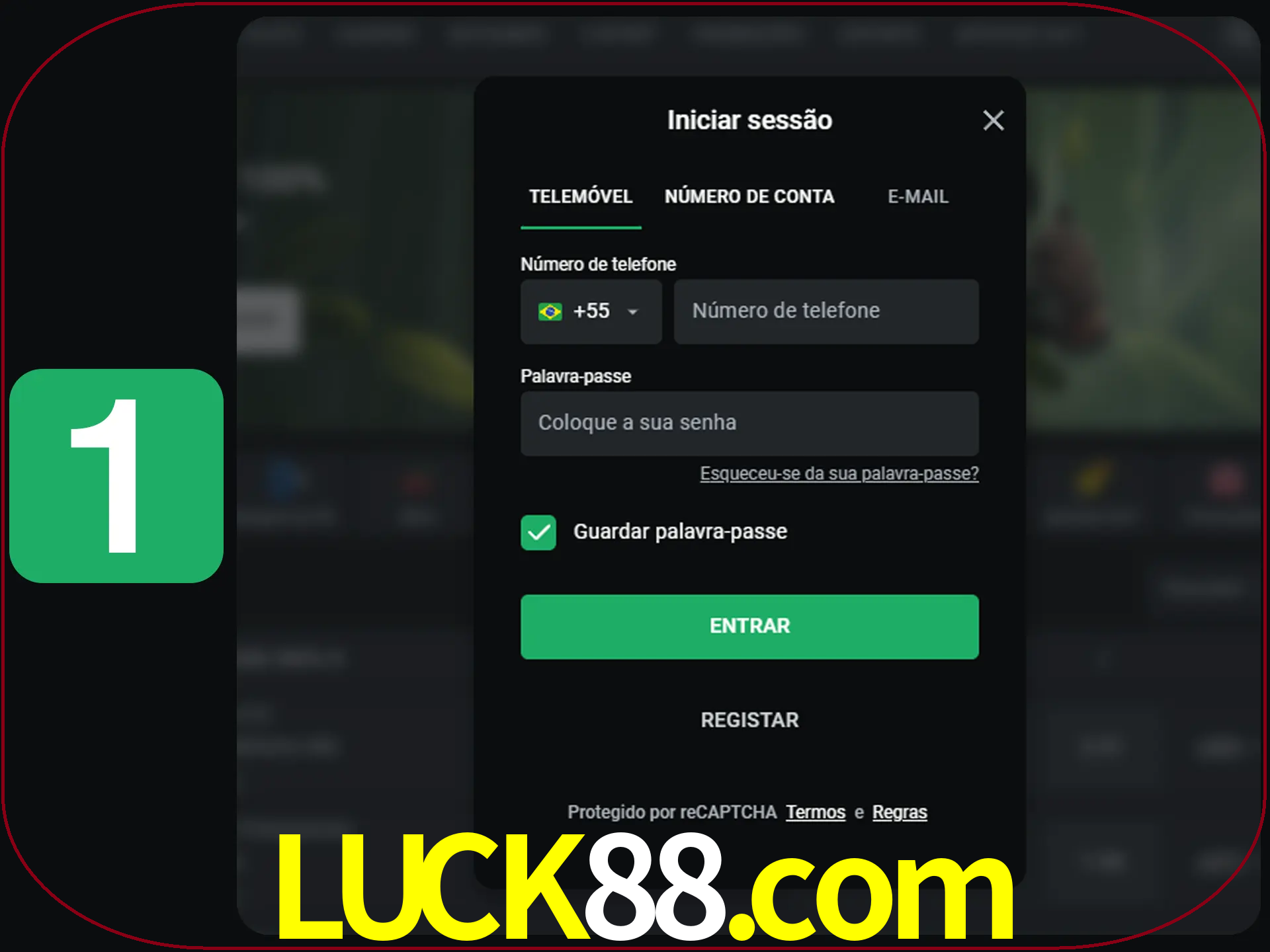 Clique no botão Entrar.